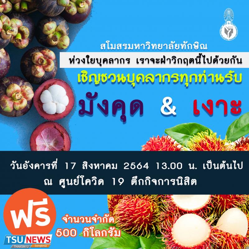 สโมสรมหาวิทยาลัยทักษิณ วิทยาเขตสงขลา ร่วมด้วยช่วยเหลือบุคลากรฝ่าวิกฤตโควิด-19 แจกผลไม้ 500 กิโลกรัม