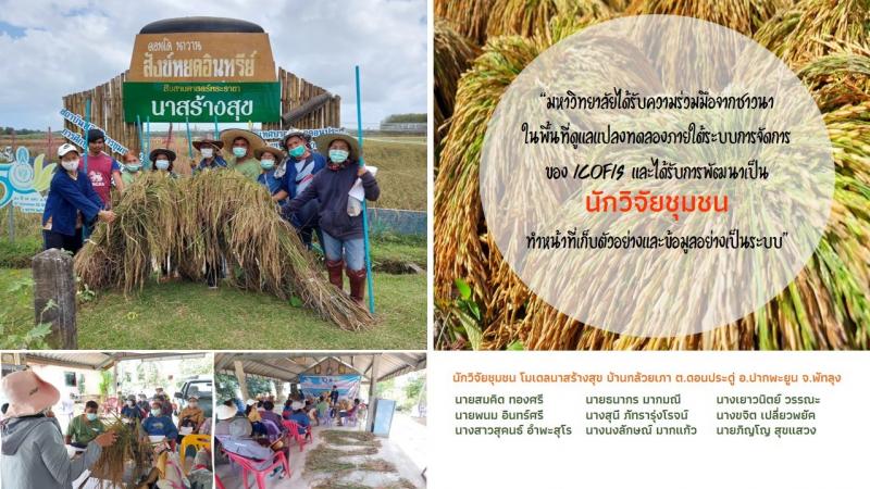 ICOFIS ลงพื้นที่ถ่ายทอดความรู้จากวิจัย คืนสุขสู่ชุมชน