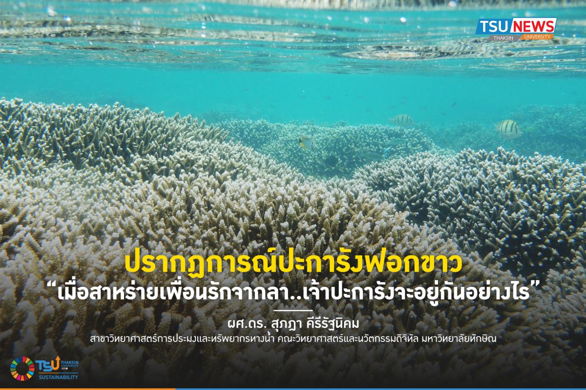 ปรากฏการณ์ปะการังฟอกขาว เมื่อสาหร่ายเพื่อนรักจากลา...เจ้าปะการังจะอยู่กันอย่างไร