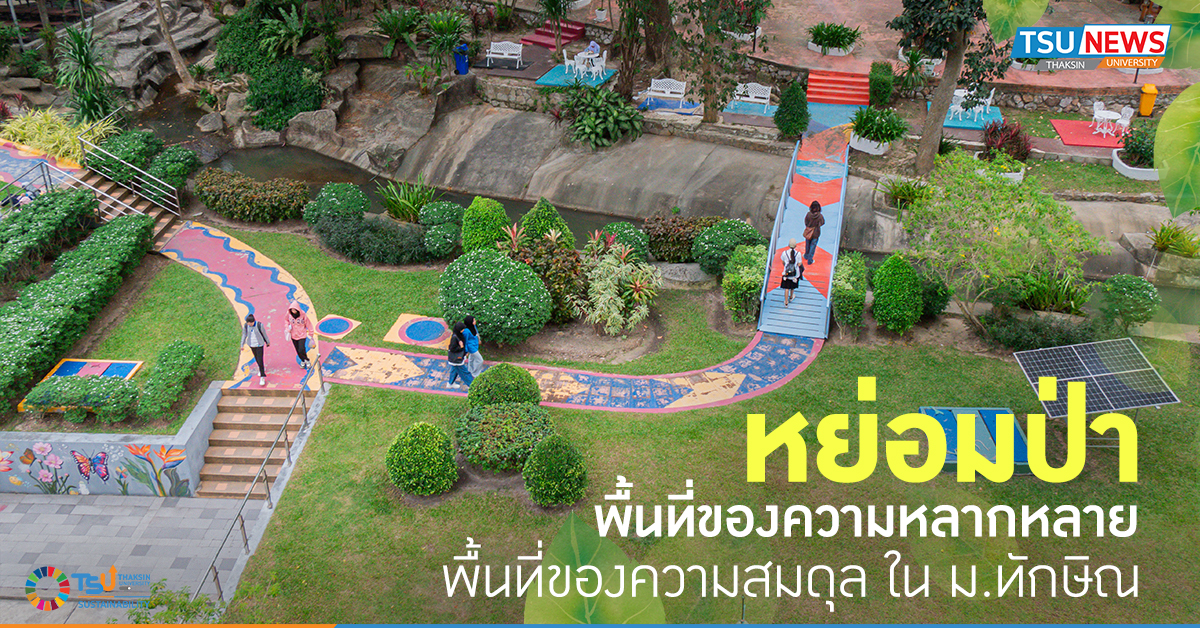 หย่อมป่า พื้นที่ของความหลากหลาย พื้นที่ของความสมดุล ใน ม.ทัก