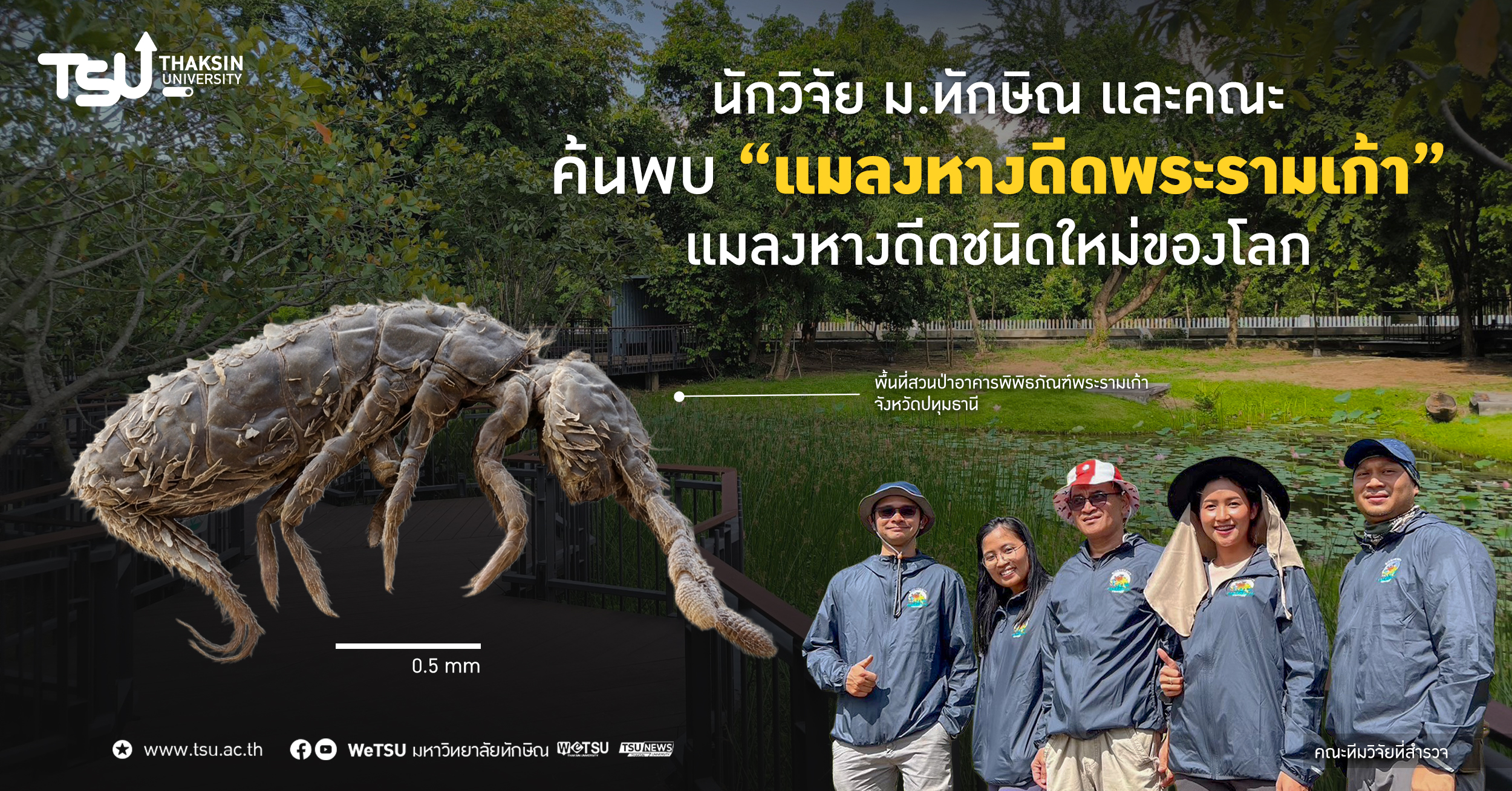 นักวิจัย ม.ทักษิณ และคณะ ค้นพบ แมลงหางดีดพระรามเก้า แมลงหางด