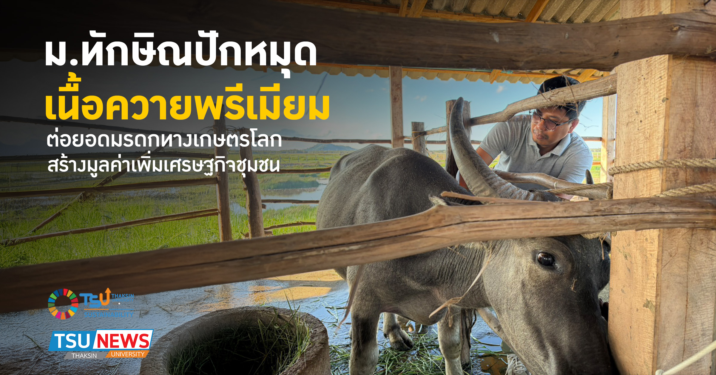 ม.ทักษิณปักหมุด เนื้อควายพรีเมียม ต่อยอดมรดกทางเกษตรโลก สร้า