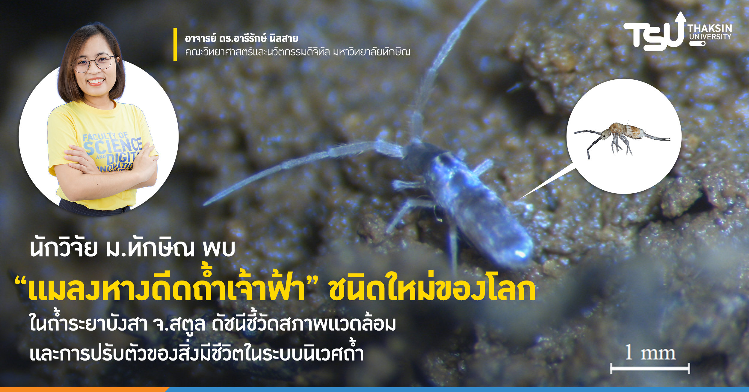 นักวิจัย ม.ทักษิณ พบ แมลงหางดีดถ้ำเจ้าฟ้า ชนิดใหม่ของโลก ในถ้ำระยาบังสา จ.