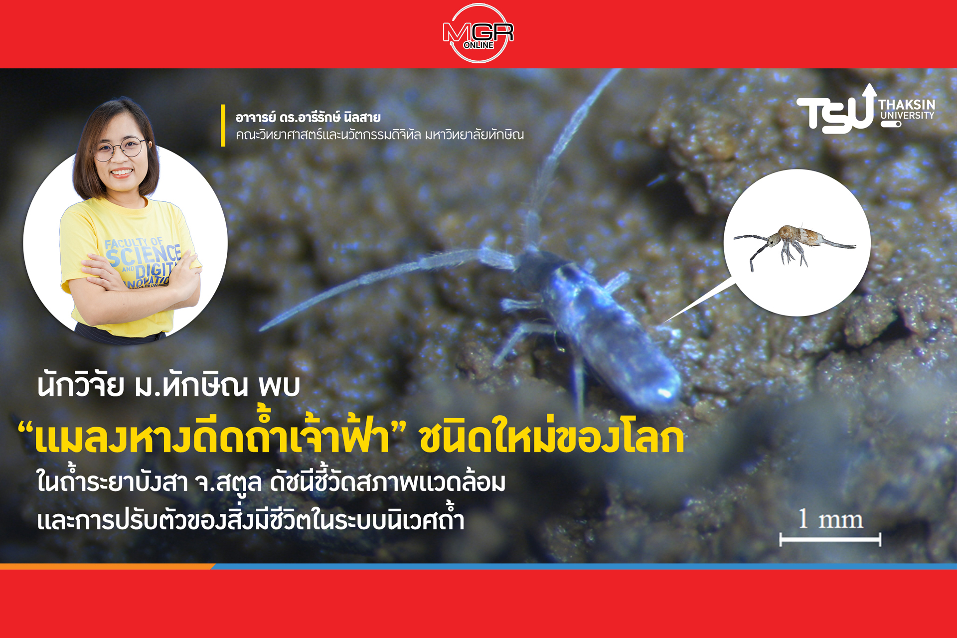 นักวิจัย ม.ทักษิณ พบ แมลงหางดีดถ้ำเจ้าฟ้า ชนิดใหม่ของโลก ในถ้ำระยาบังสา จ.สตูล ด