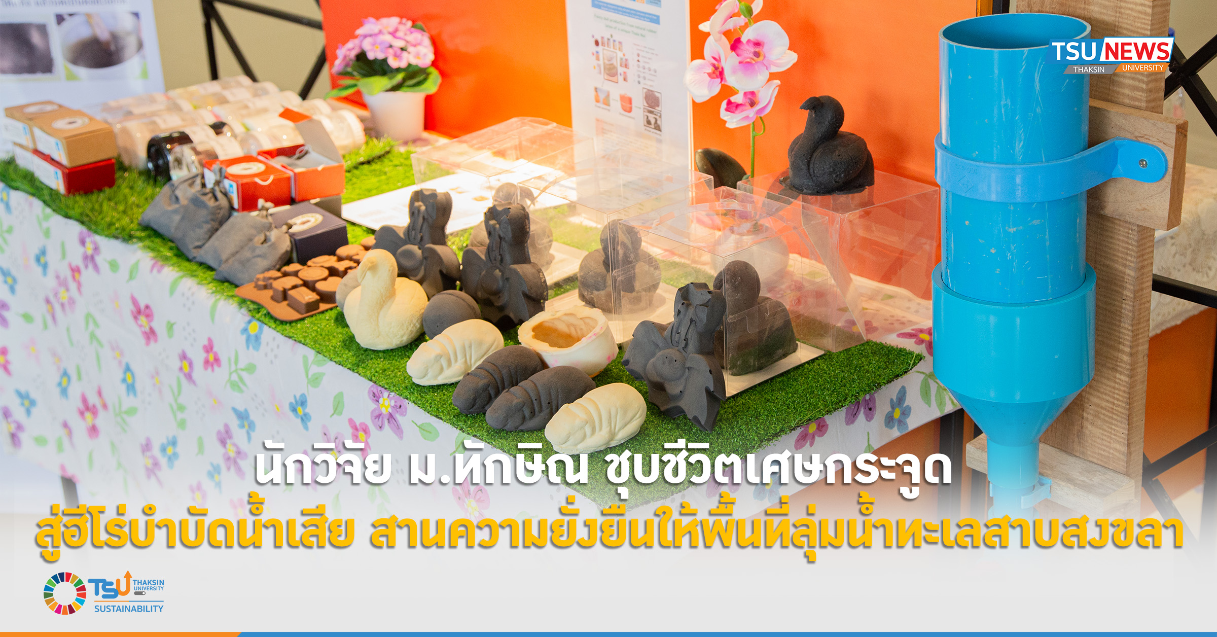 นักวิจัย ม.ทักษิณ ชุบชีวิตเศษกระจูด สู่ฮีโร่บำบัดน้ำเสีย สานค