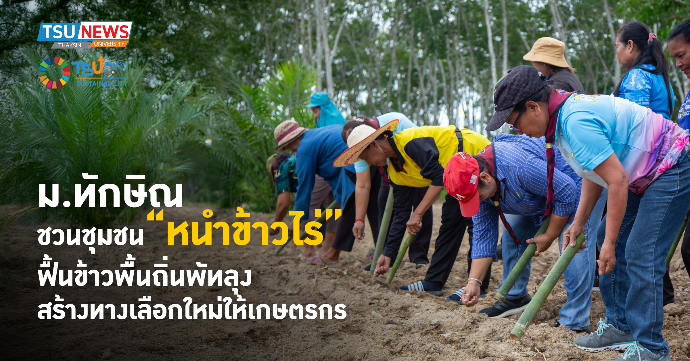 ม.ทักษิณ ชวนชุมชน หนำข้าวไร่ ฟื้นข้าวพื้นถิ่นพัทลุง สร้างทาง