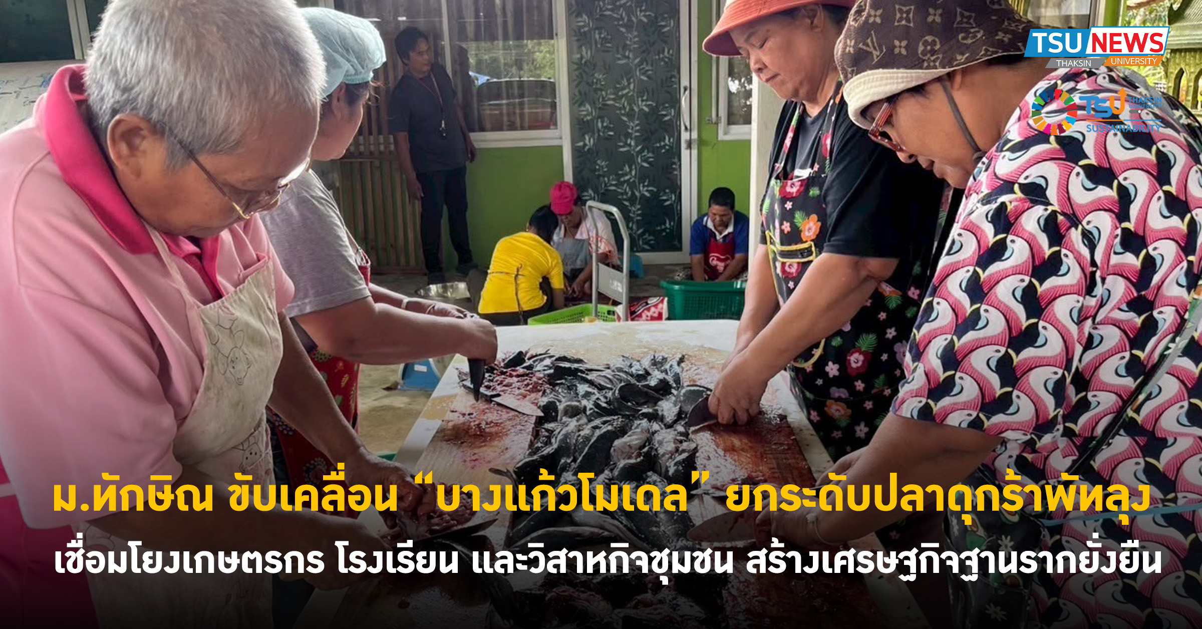 ม.ทักษิณ ขับเคลื่อน บางแก้วโมเดล ยกระดับปลาดุกร้าพัทลุง เชื่อมโยงเกษตรกร โ