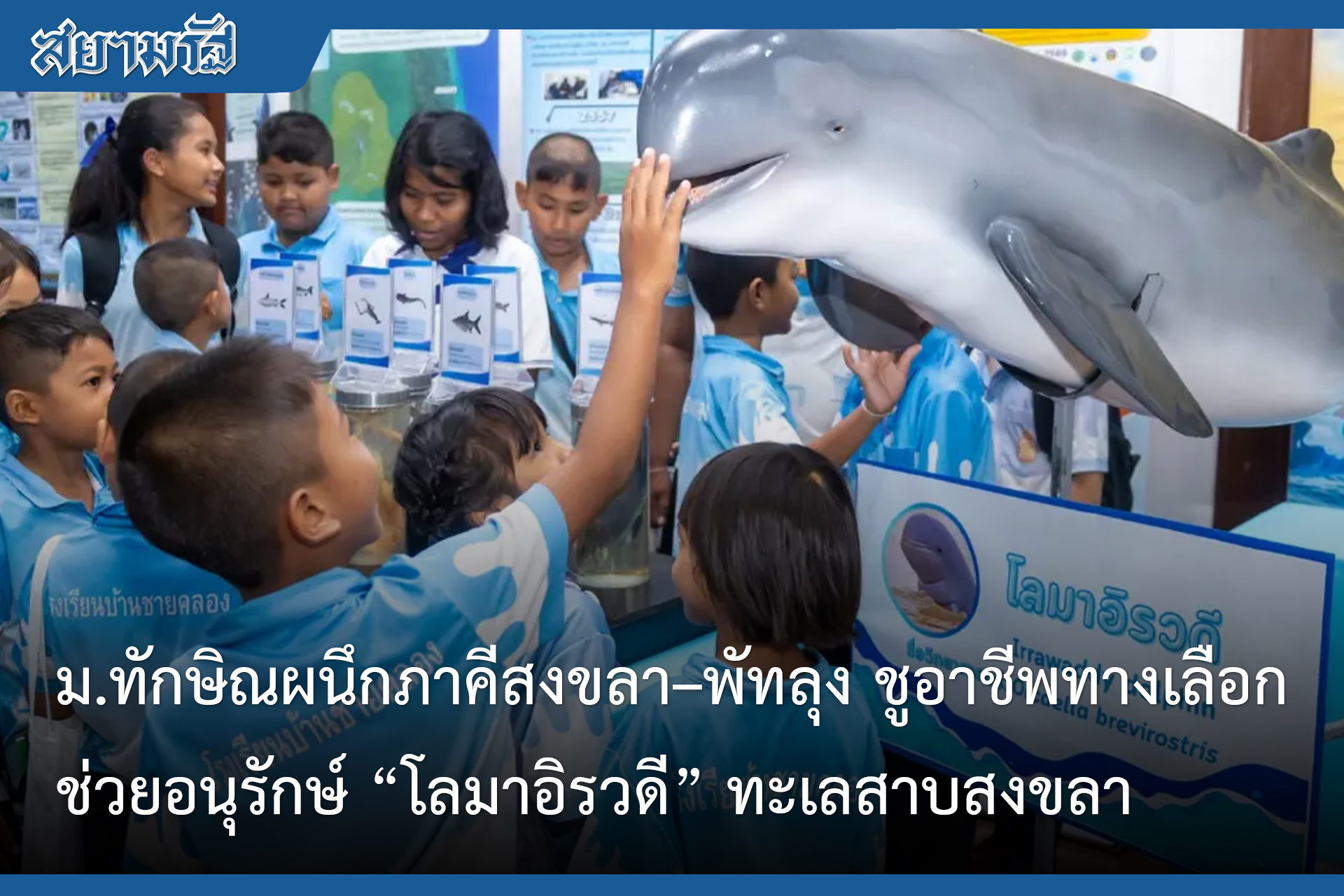ม.ทักษิณผนึกภาคีสงขลา พัทลุง ชูอาชีพทางเลือก ช่วยอนุรักษ์ โลมาอิรวดี ทะเลสาบสงขล